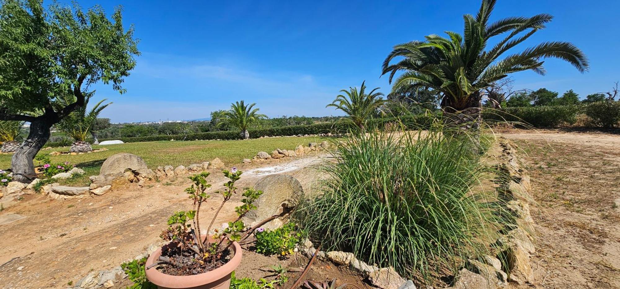 Villa Quinta Do Lagar Albufeira Esterno foto