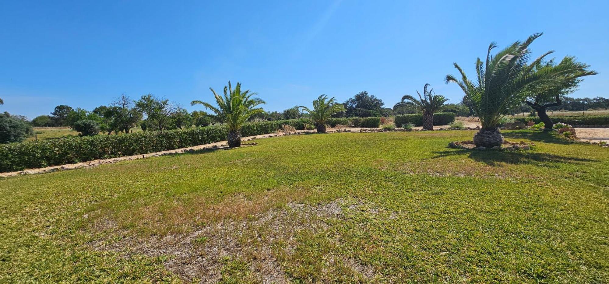 Villa Quinta Do Lagar Albufeira Esterno foto