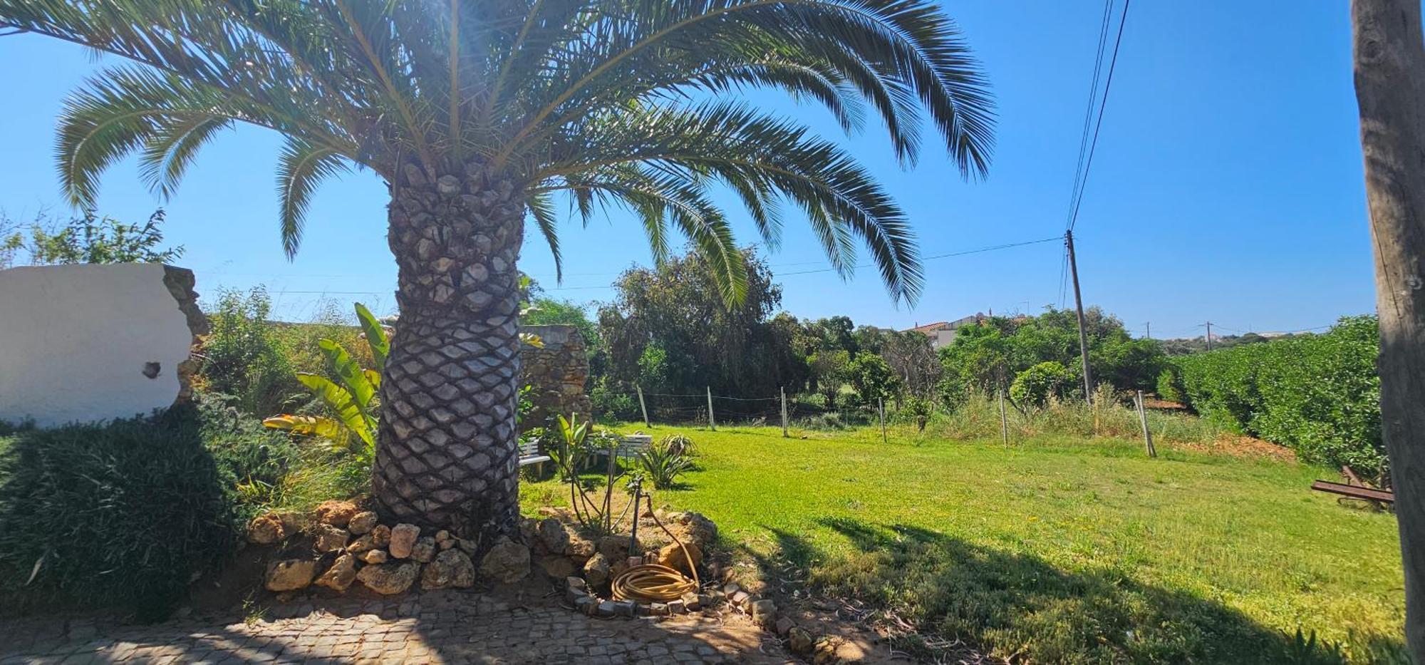 Villa Quinta Do Lagar Albufeira Esterno foto